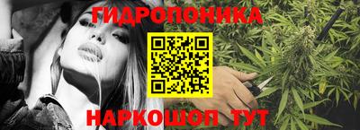 индика Мариинск